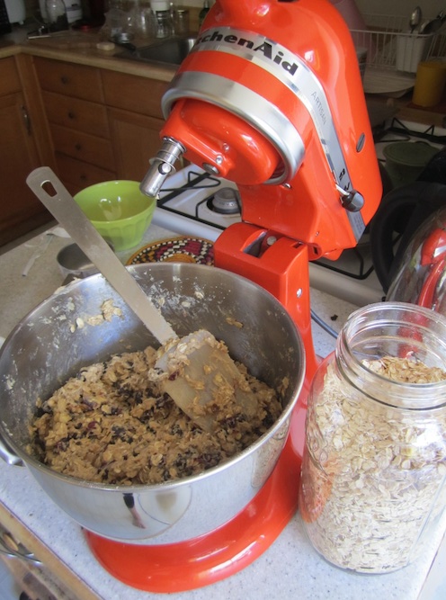 Persimmon kitchenaid mixxer